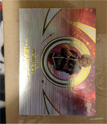 2025 Topps Universe WWE #199 Scott Steiner — front