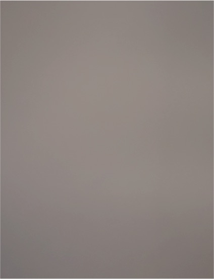 4 Ft. X 8 Ft. Laminate Sheet in Oyster Grey with Matte Finish — front