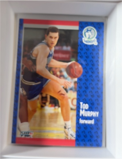 1991-92 Fleer #124 Tod Murphy — front