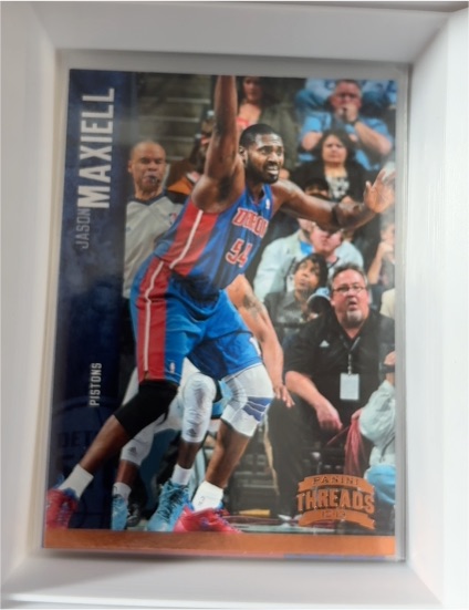 2012-13 Panini Threads #40 Jason Maxiell — front