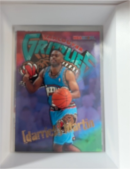 1995-96 Hoops #354 Darrick Martin — front