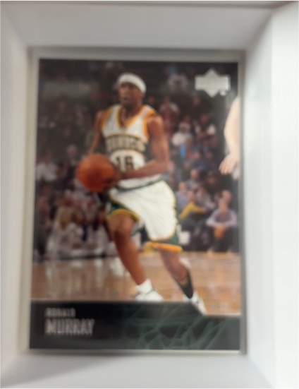 2003-04 Upper Deck #262 Ronald Murray — front