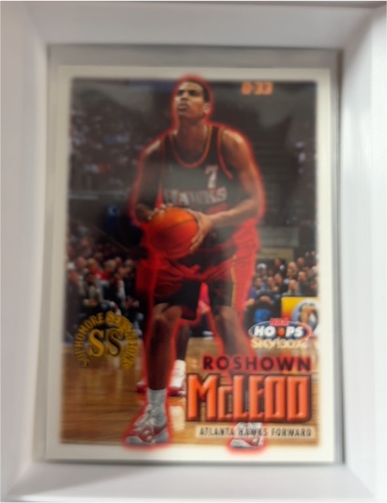 1999-00 Skybox NBA Hoops #19 Roshown McLeod — front