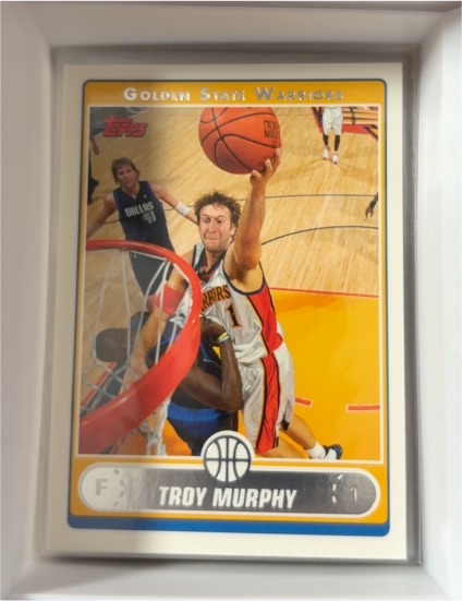 2006-07 Topps #168 Troy Murphy — front