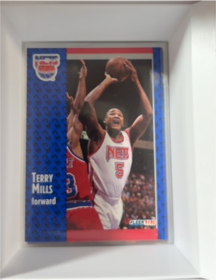 1991-92 Fleer #324 Terry Mills — front