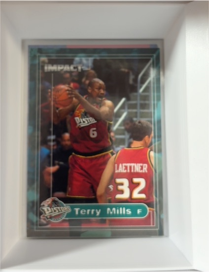 1999-00 SkyBox Impact #104 Terry Mills — front