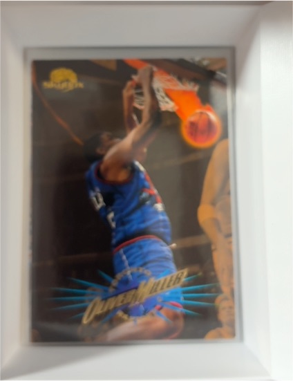 1995-96 Skybox Premium #204 Oliver Miller — front