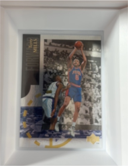 1994-95 Upper Deck Special Edition #SE25 Terry Mills — front