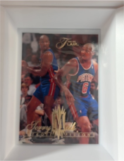 1994-95 Fleer Flair #48 Terry Mills — front