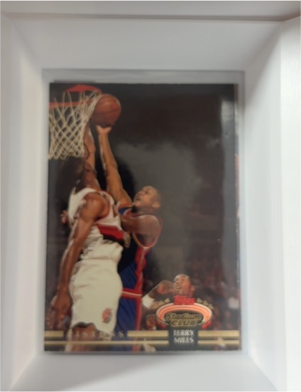 1992-93 Topps Stadium Club #314 Dennis Rodman — front