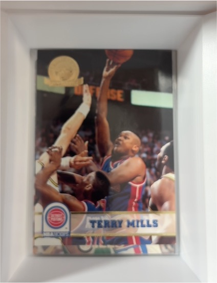 1993-94 Skybox NBA Hoops 5th Anniversary #63 Terry Mills — front