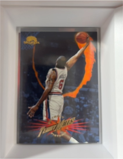1995-96 SkyBox Premium #169 Terry Mills — front
