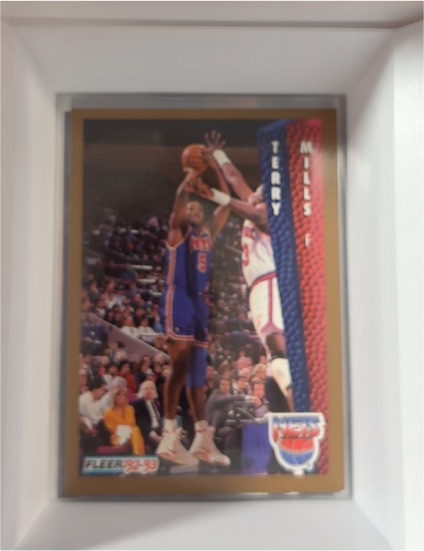 1992-93 Fleer #145 Terry Mills — front