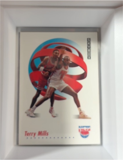 1991-92 SkyBox #184 Terry Mills — front