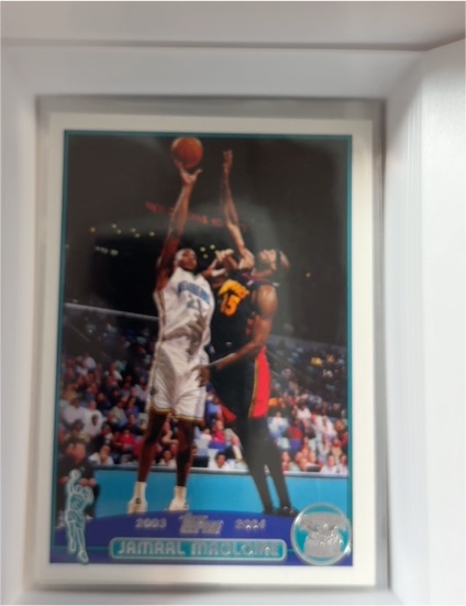 2003-04 Topps #91 Jamaal Magloire — front