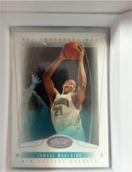 2004-05 Hoops Hot Prospects #21 Jamaal Magloire — front