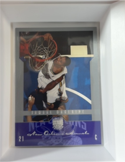 2004-05 Skybox Limited Edition #21 Pau Gasol — front