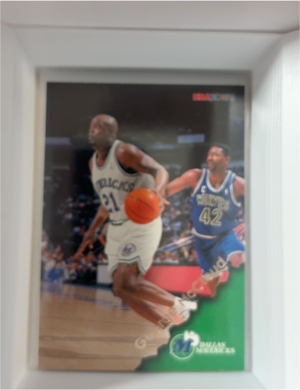 1993-94 Upper Deck #215 Jim Jackson Dallas Mavericks — front