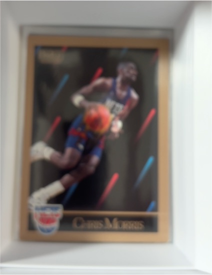 1990-91 SkyBox #183 Chris Morris New Jersey Nets — front