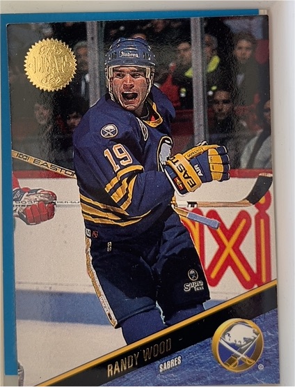 1992-93 Upper Deck #245 Randy Wood — front