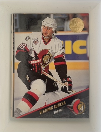 1993-94 Leaf #438 Vladimir Ruzicka — front