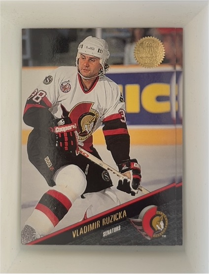 1993-94 Leaf #438 Vladimir Ruzicka — front