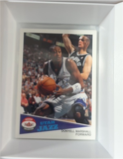2001-02 Topps High Topps Utah Jazz Basketball Card #52 Donyell Marshall — front