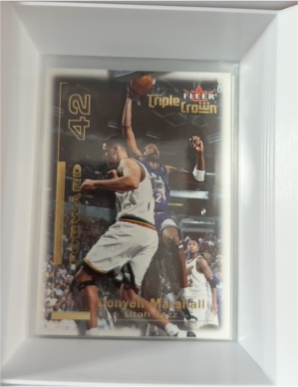 2000-01 Fleer Triple Crown #42 Donyell Marshall — front