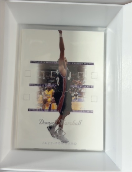 2001-02 SP Authentic #87 Donyell Marshall — front