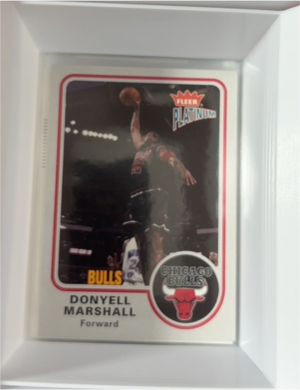 2002-03 Fleer Platinum #23 Donyell Marshall — front