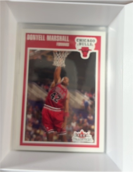2003-04 Topps #144 Donyell Marshall — front