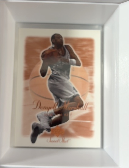 2001-02 Upper Deck Sweet Shot #87 Donyell Marshall — front
