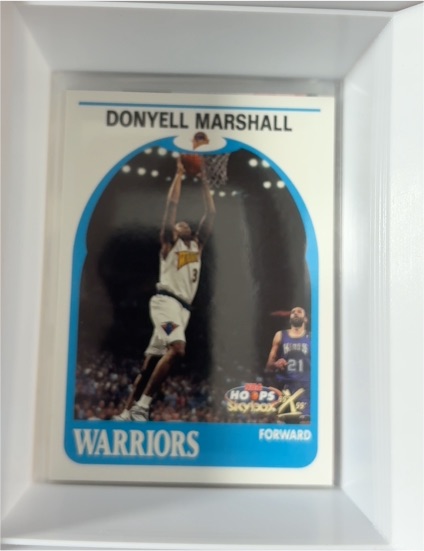 1999-00 Skybox NBA Hoops Decade #113 Donyell Marshall — front