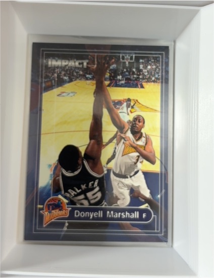 1999-00 Skybox Impact #68 Donyell Marshall — front