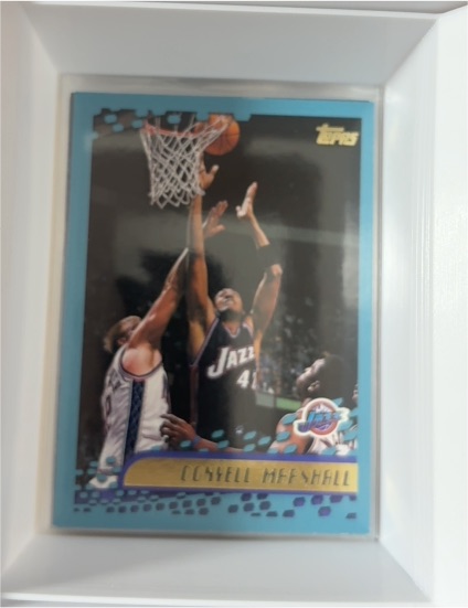 2001-02 Topps #181 Donyell Marshall — front