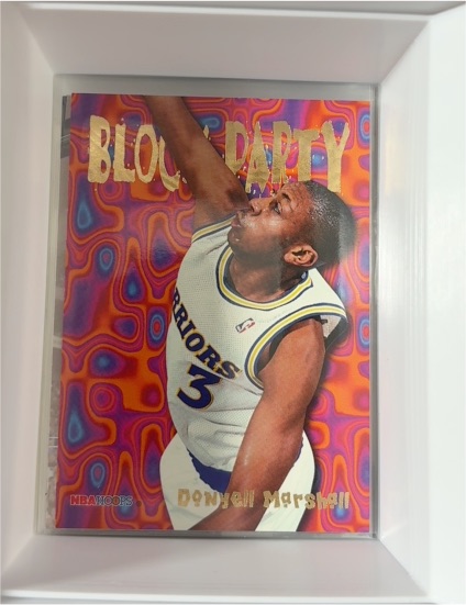 1995-96 NBA Hoops #22 Donyell Marshall Block Party — front