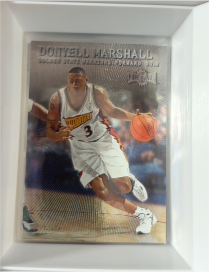 1999-00 Skybox Metal #56 Donyell Marshall — front