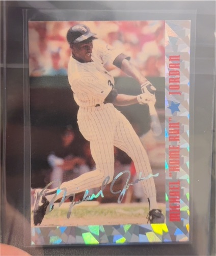 1993-94 Stadium Sports #69 Michael Jordan — front