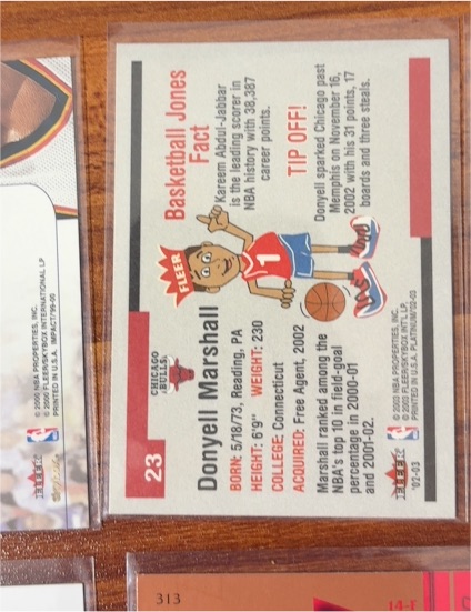 1993 Fleer #23 Donyell Marshall — front