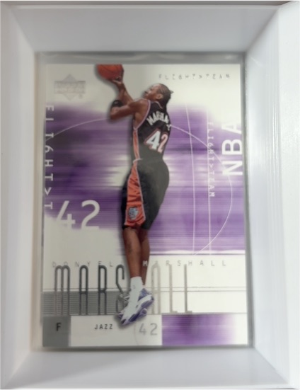 2001-02 Upper Deck Flight Team #42 Morris Peterson — front