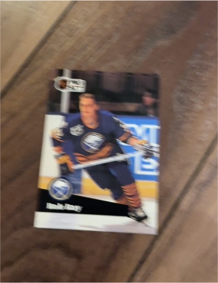 1991-92 Pro Set Platinum #109 Bob Plager — front