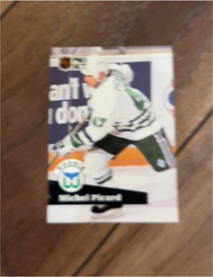 1991-92 Pro Set #538 Michel Picard — front