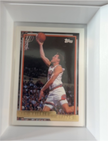 1992-93 Topps Gold #326 Dan Majerle — front