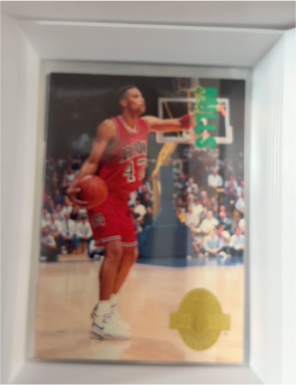 1994-95 SP Championship #43 Scottie Pippen — front