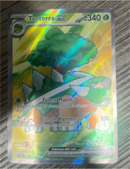 2024 Pokémon SV05: Temporal Forces #185 Torterra ex — front
