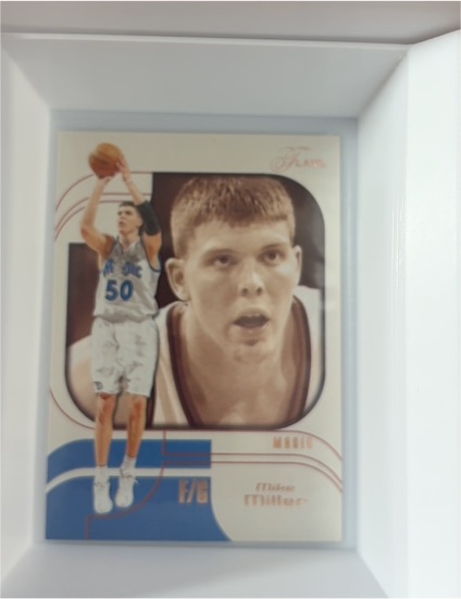2002-03 Flair #36 Mike Miller — front