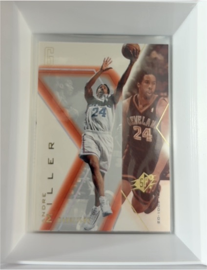 2001-02 Upper Deck SPx #13 Andre Miller — front