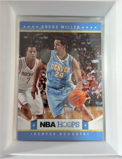 2012-13 Panini Hoops #113 Andre Miller — front