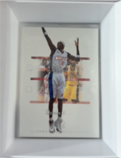 2003-04 Fleer Flair #59 Ben Wallace — front