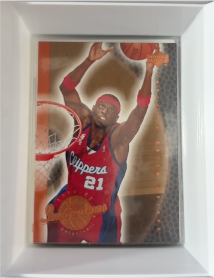 2001-02 Upper Deck Fleer Showcase #82 Darius Miles — front
